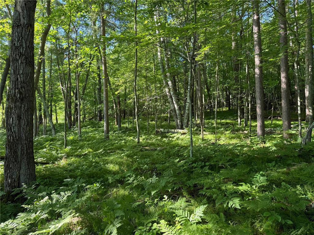 TBD Sathre Lane Dewey Twp WI 54871 - Bashaw Lake 7091688 image15