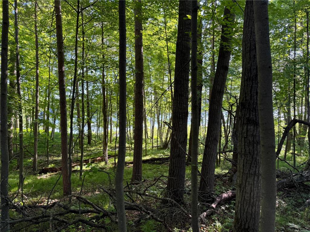 TBD Sathre Lane Dewey Twp WI 54871 - Bashaw Lake 7091688 image18