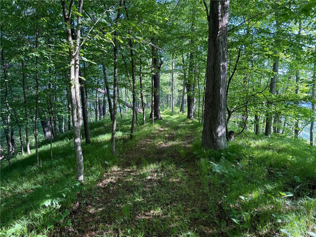 TBD Sathre Lane Dewey Twp WI 54871 - Bashaw Lake 7091688 image23