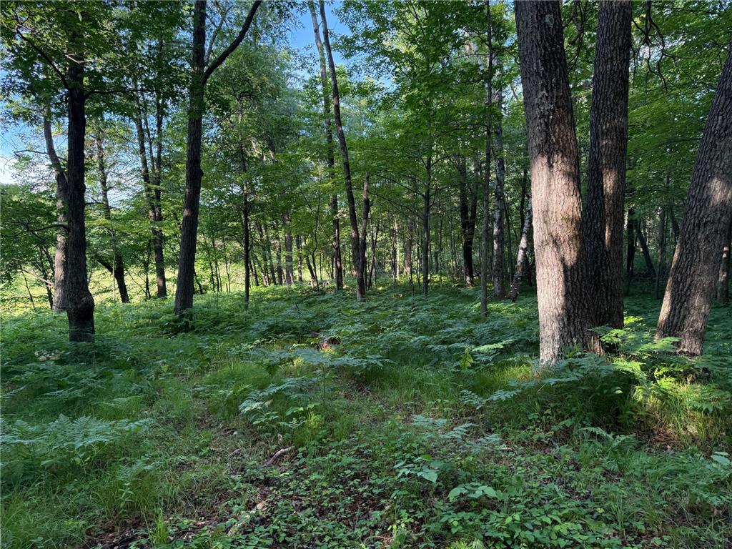 TBD Sathre Lane Dewey Twp WI 54871 - Bashaw Lake 7091688 image27