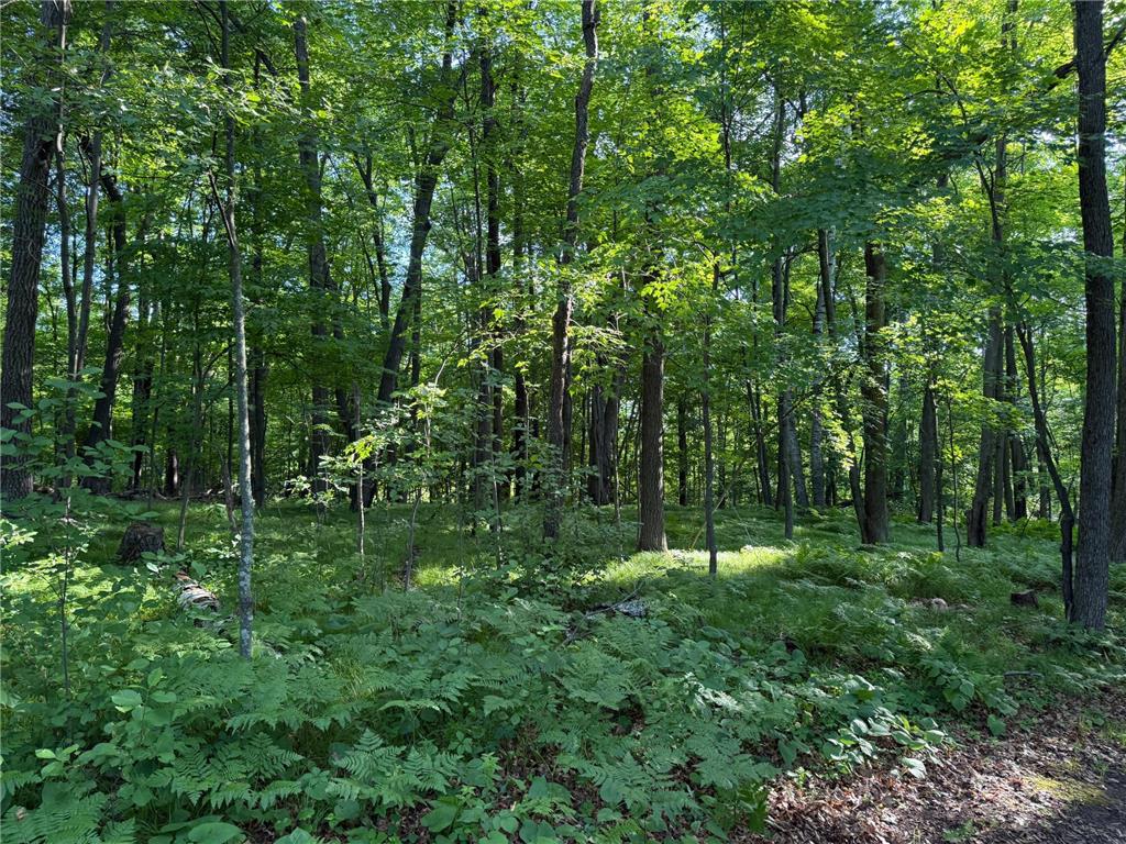 TBD Sathre Lane Dewey Twp WI 54871 - Bashaw Lake 7091688 image29