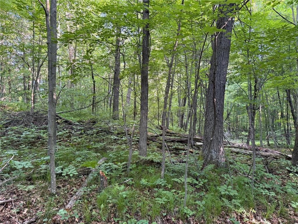 TBD Sathre Lane Dewey Twp WI 54871 - Bashaw Lake 7091688 image30
