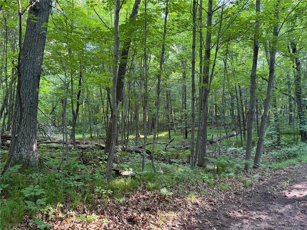 TBD Sathre Lane Dewey Twp WI 54871 - Bashaw Lake 7091688 image31