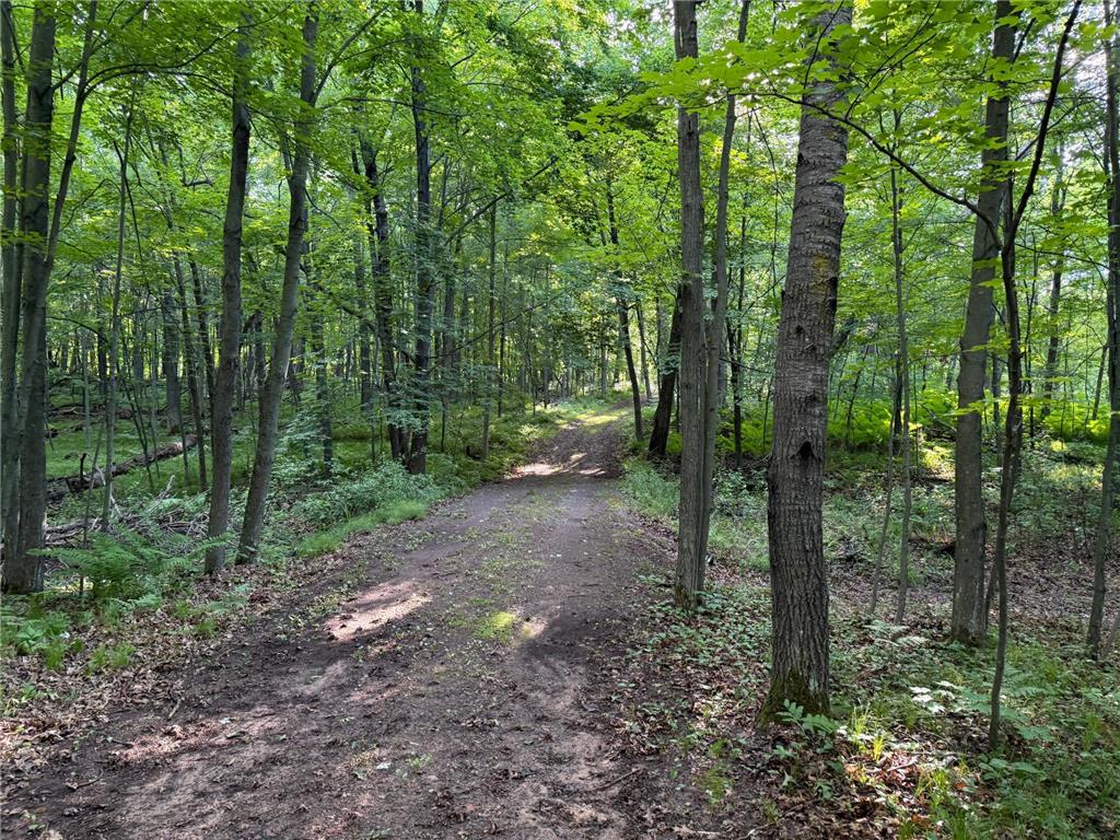 TBD Sathre Lane Dewey Twp WI 54871 - Bashaw Lake 7091688 image32