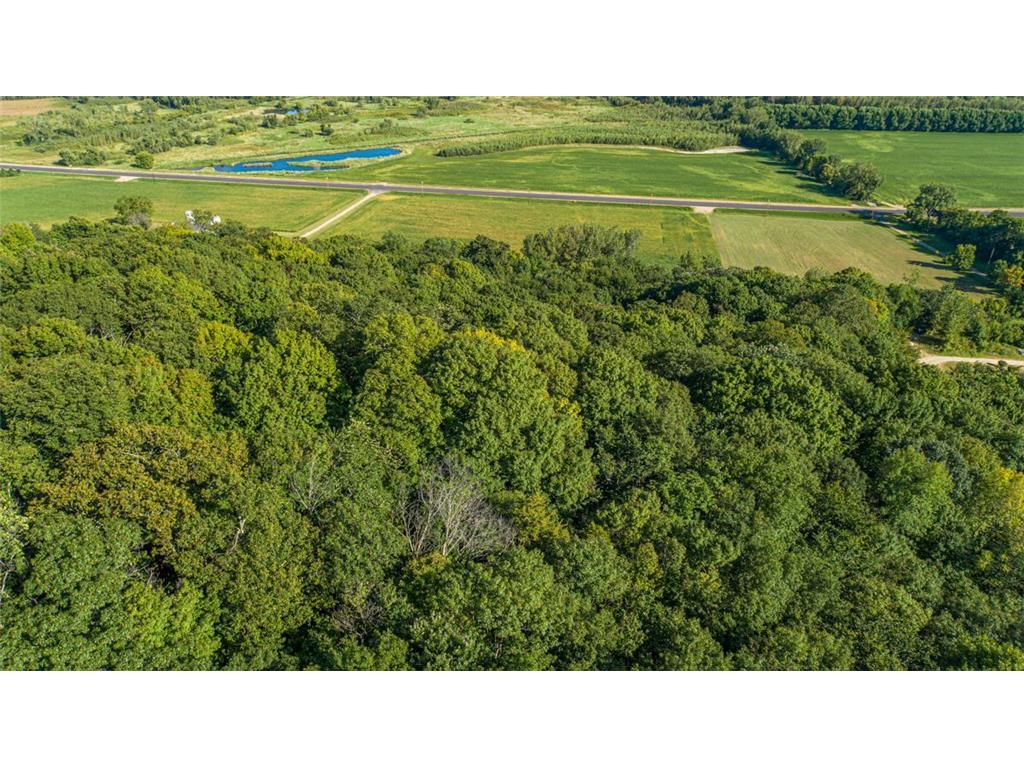 TBD Scenic Byway Road Henderson MN 56044 6673832 image6