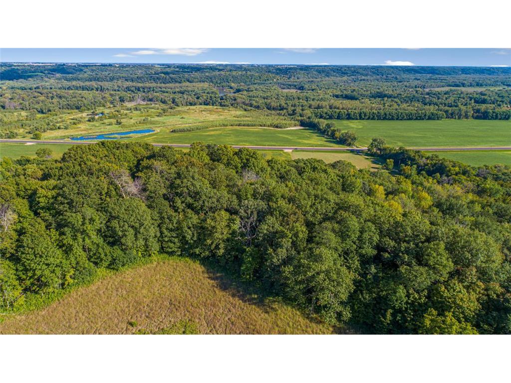TBD Scenic Byway Road Henderson MN 56044 6673832 image7