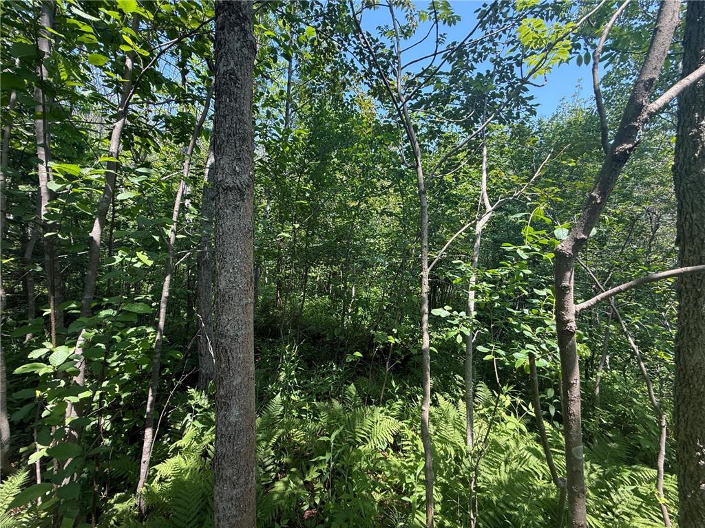 TBD Scenic Dr. Knife River MN 55616 7103193 image10