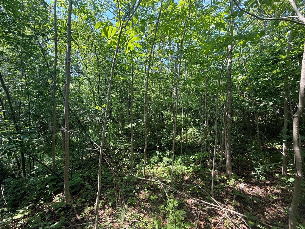 TBD Scenic Dr. Knife River MN 55616 7103193 image12