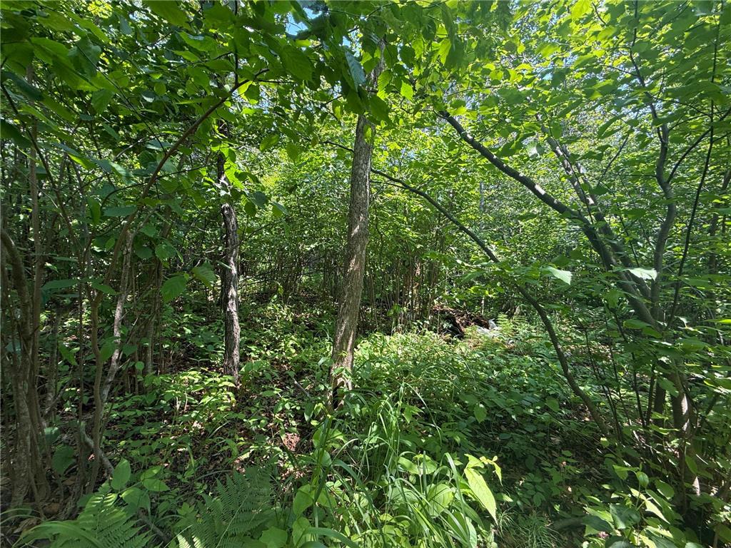 TBD Scenic Dr. Knife River MN 55616 7103193 image13