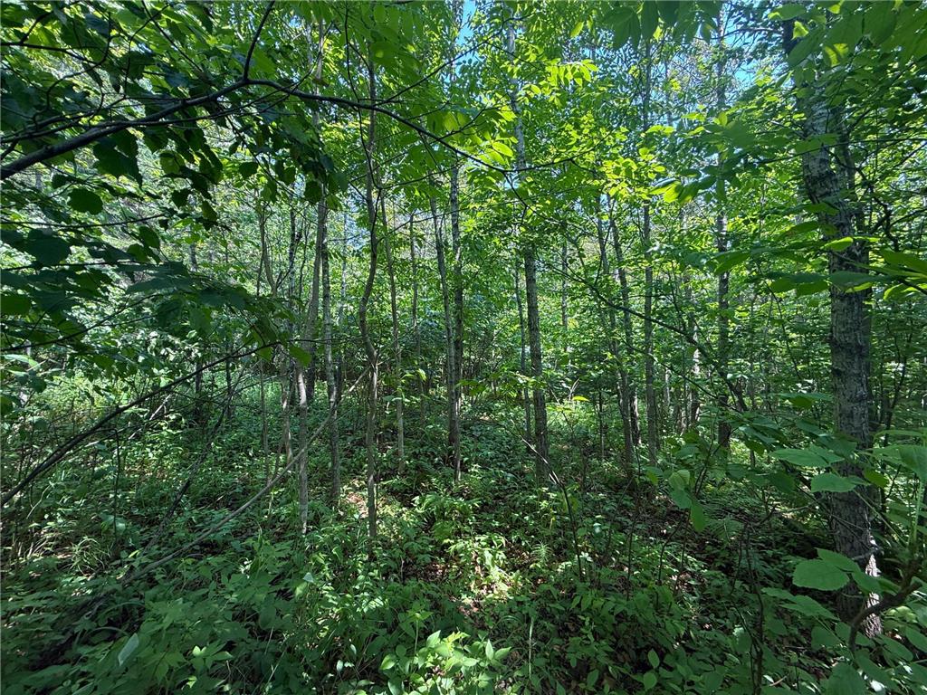TBD Scenic Dr. Knife River MN 55616 7103193 image14