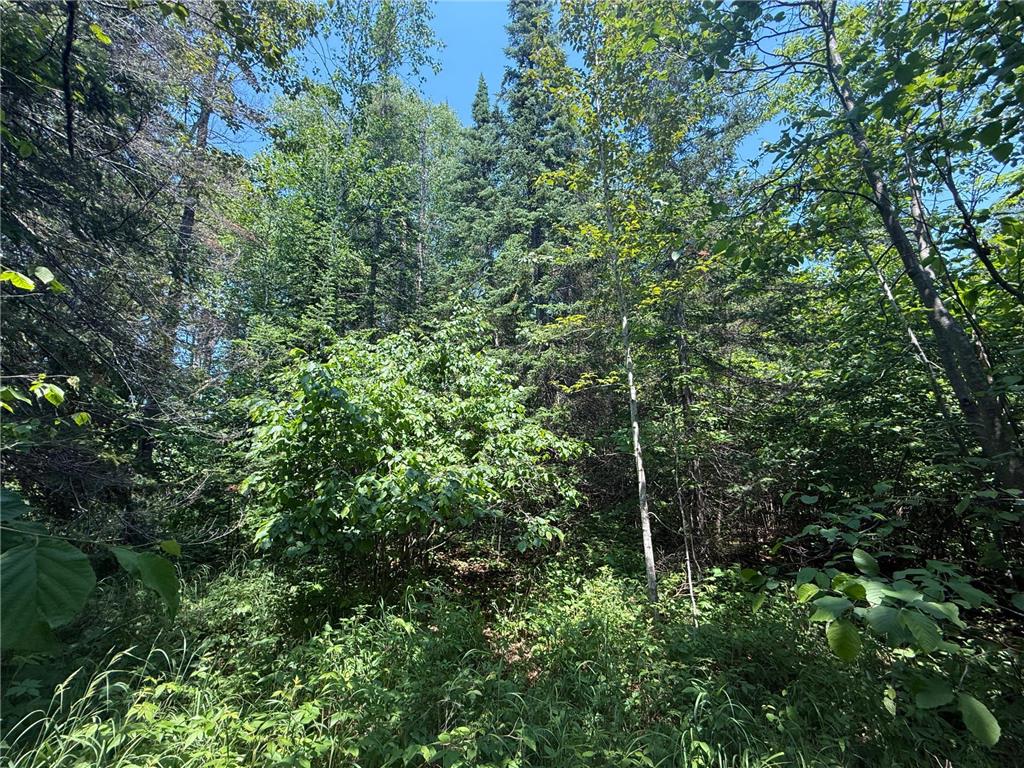 TBD Scenic Dr. Knife River MN 55616 7103193 image15