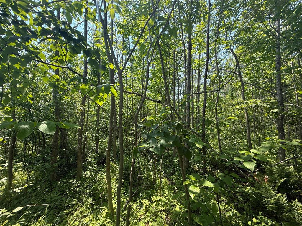 TBD Scenic Dr. Knife River MN 55616 7103193 image16