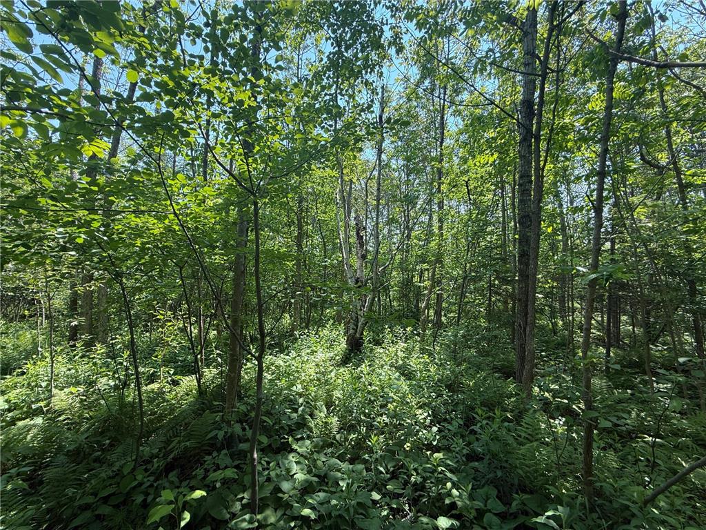 TBD Scenic Dr. Knife River MN 55616 7103193 image17