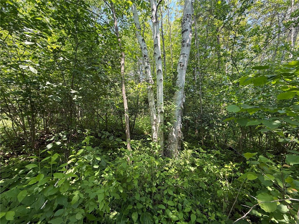 TBD Scenic Dr. Knife River MN 55616 7103193 image18