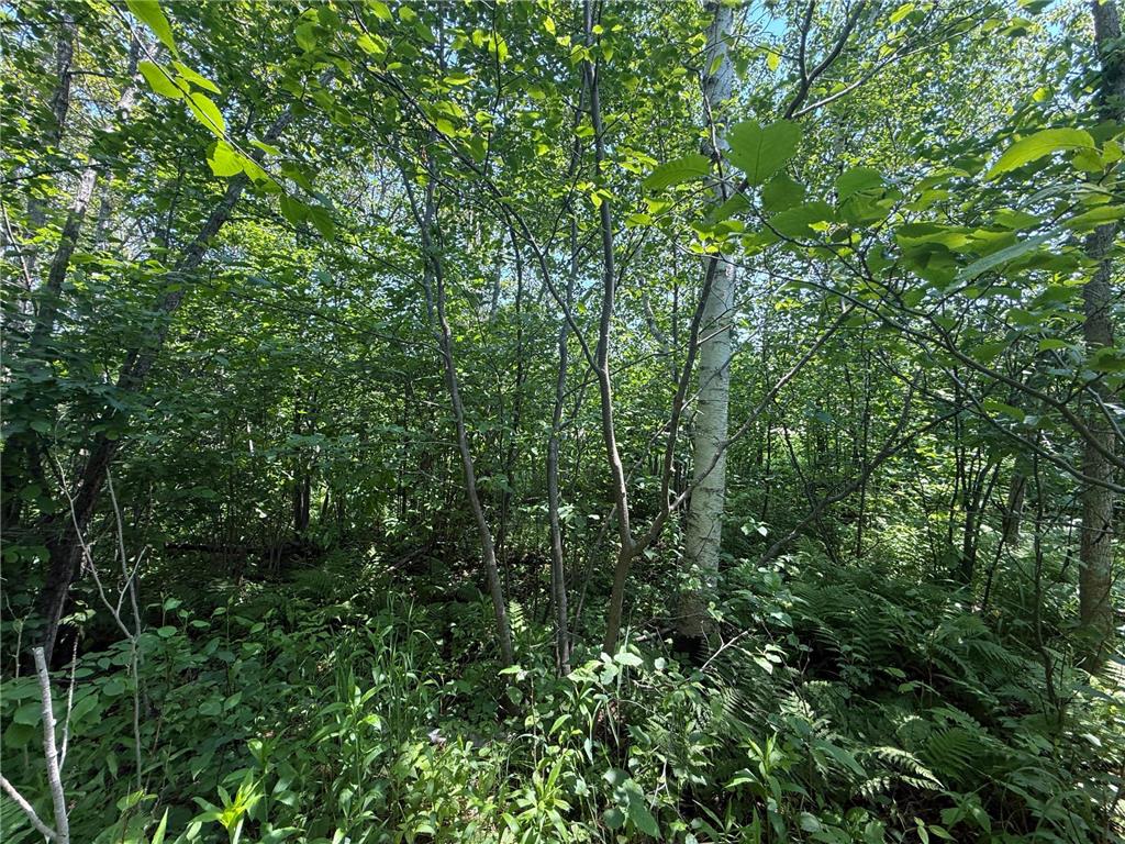 TBD Scenic Dr. Knife River MN 55616 7103193 image20