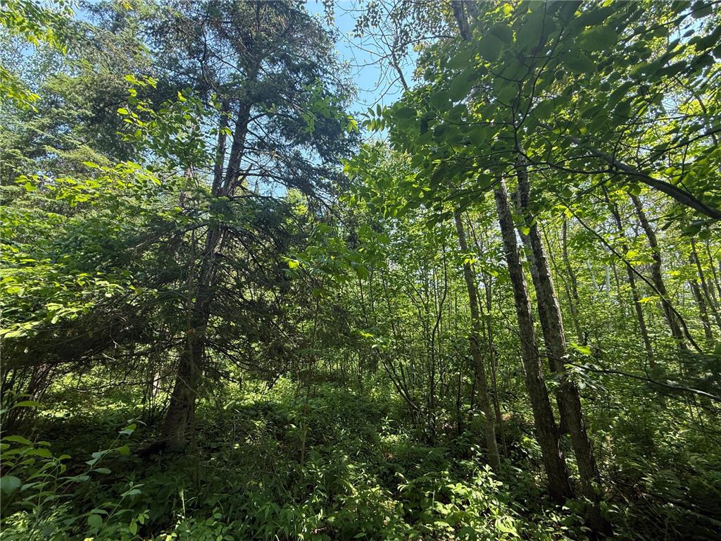 TBD Scenic Dr. Knife River MN 55616 7103193 image7