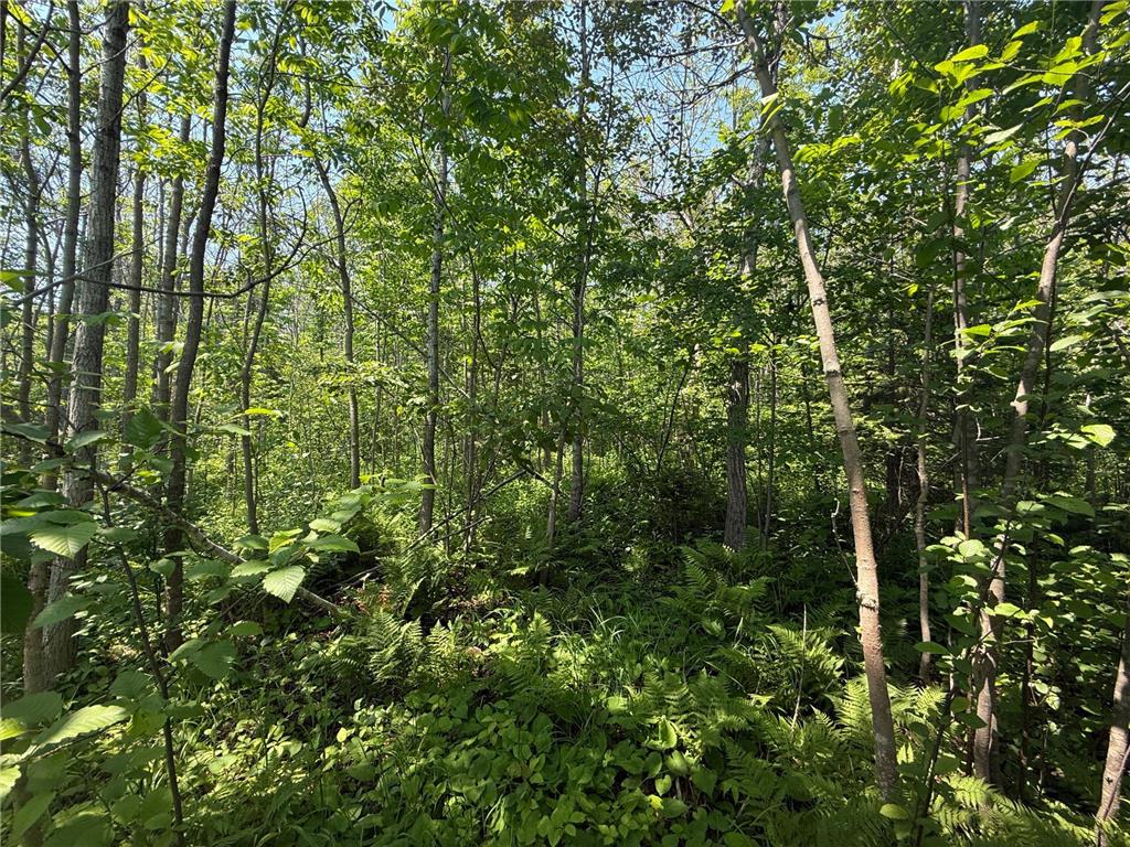 TBD Scenic Dr. Knife River MN 55616 7103193 image8