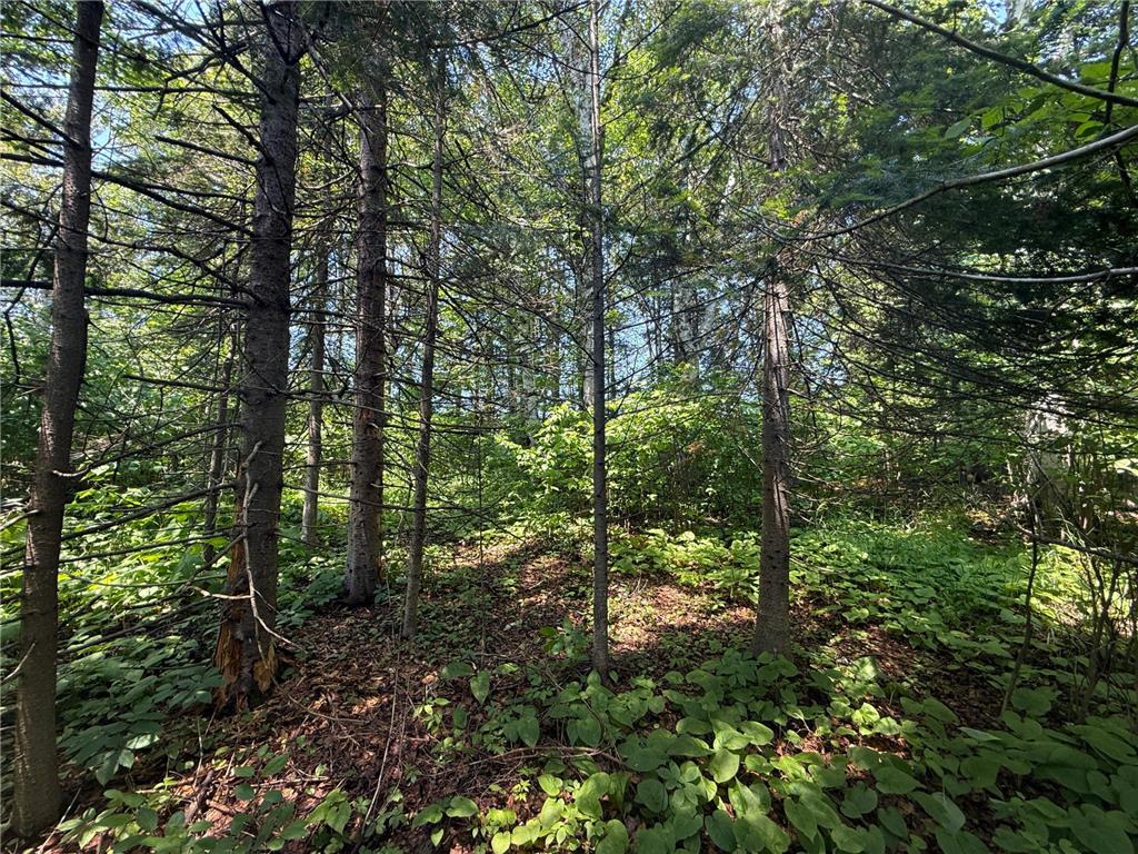 TBD Scenic Dr. Knife River MN 55616 7103193 image9