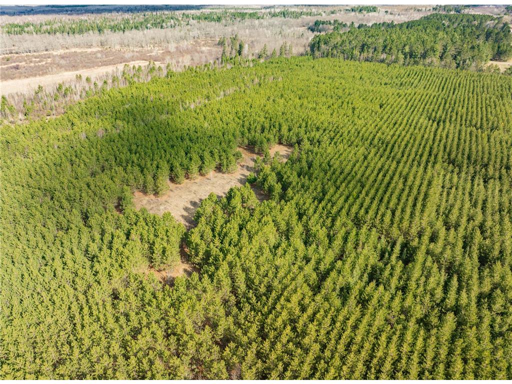 Lot 3 Scenic Highway 7 Lawrence Twp MN 55709 7069399 image16