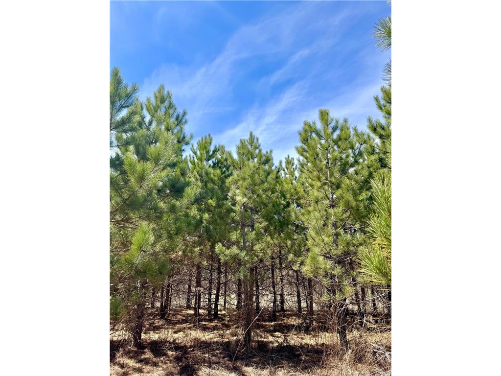 Lot 3 Scenic Highway 7 Lawrence Twp MN 55709 7069399 image32