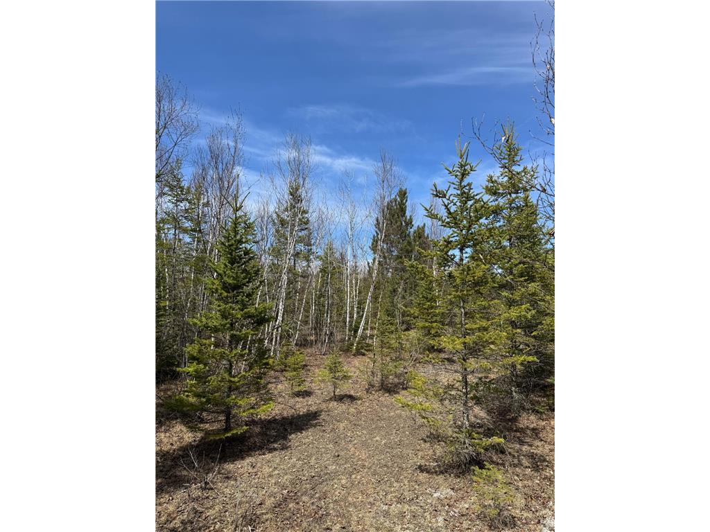 Lot 3 Scenic Highway 7 Lawrence Twp MN 55709 7069399 image36