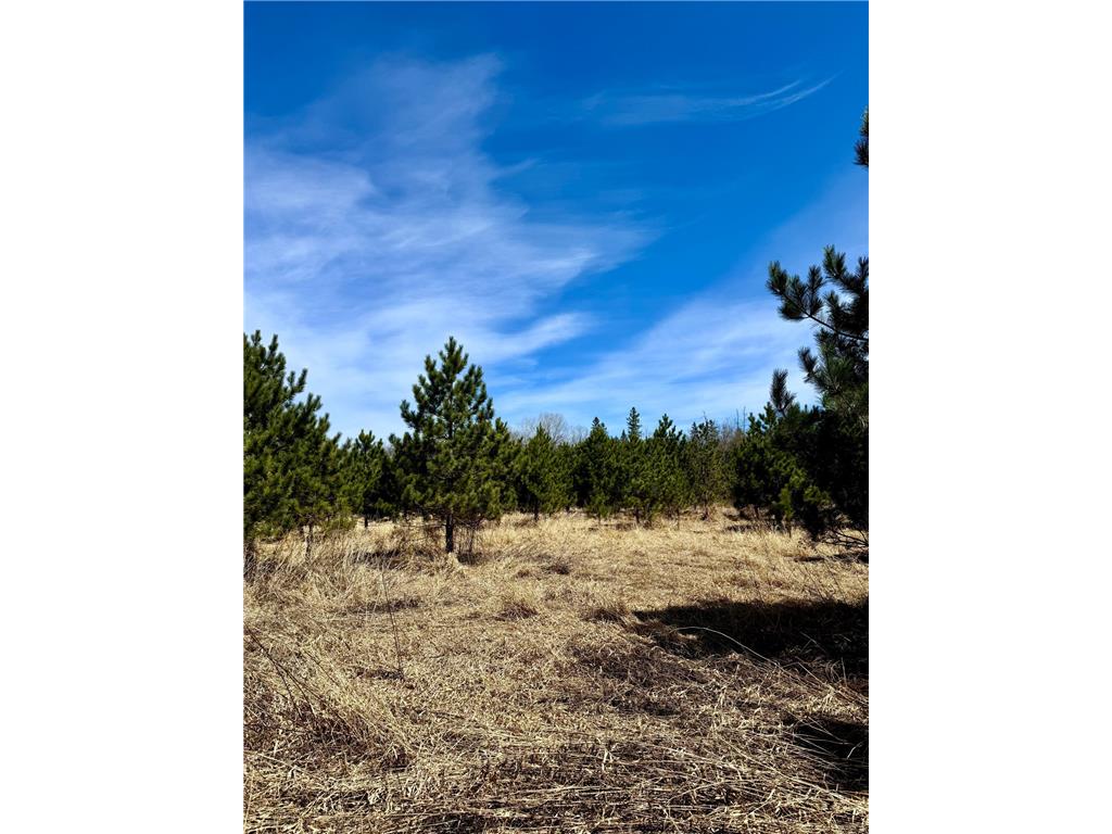 Lot 3 Scenic Highway 7 Lawrence Twp MN 55709 7069399 image37