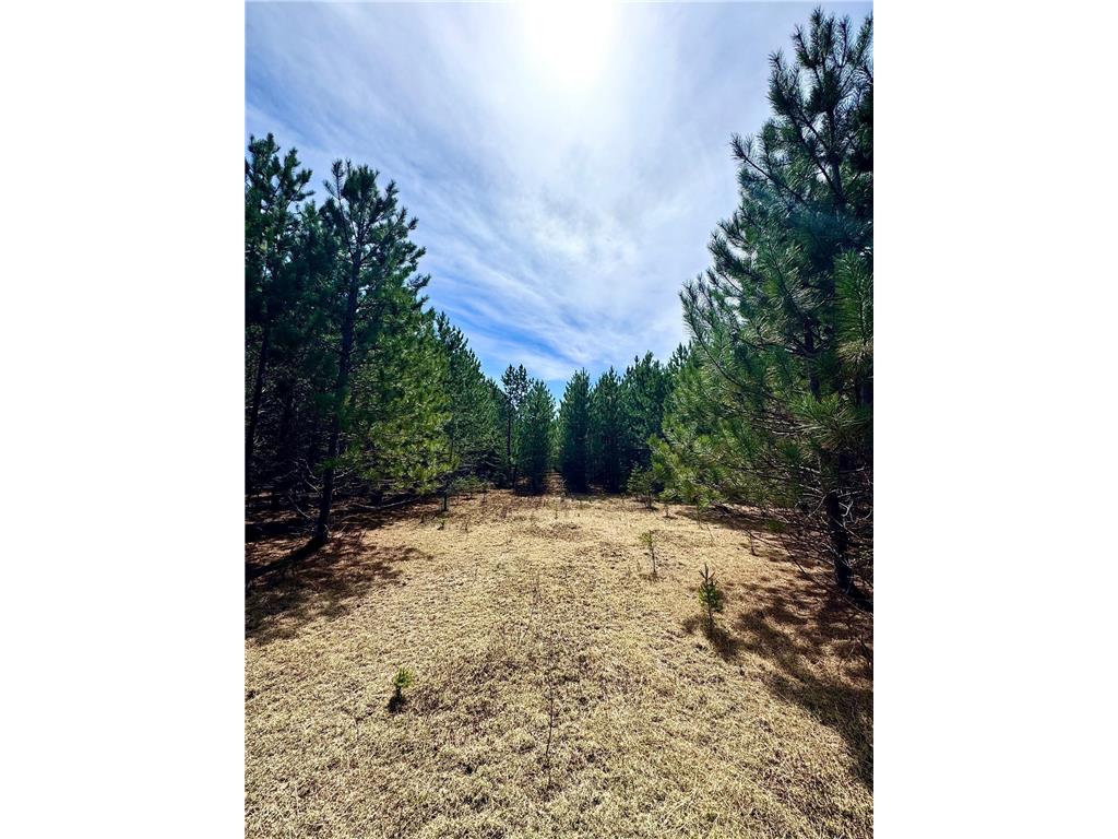 Lot 3 Scenic Highway 7 Lawrence Twp MN 55709 7069399 image39