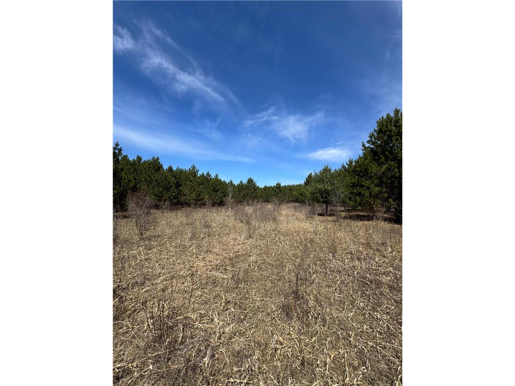Lot 3 Scenic Highway 7 Lawrence Twp MN 55709 7069399 image40