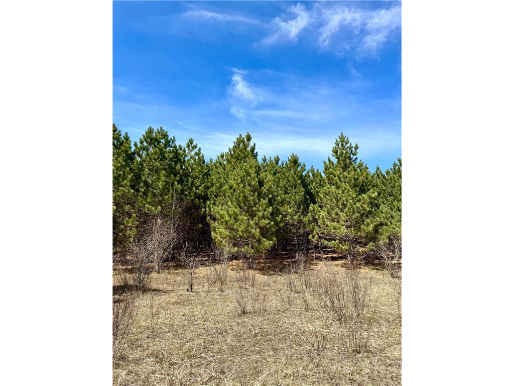 Lot 3 Scenic Highway 7 Lawrence Twp MN 55709 7069399 image43