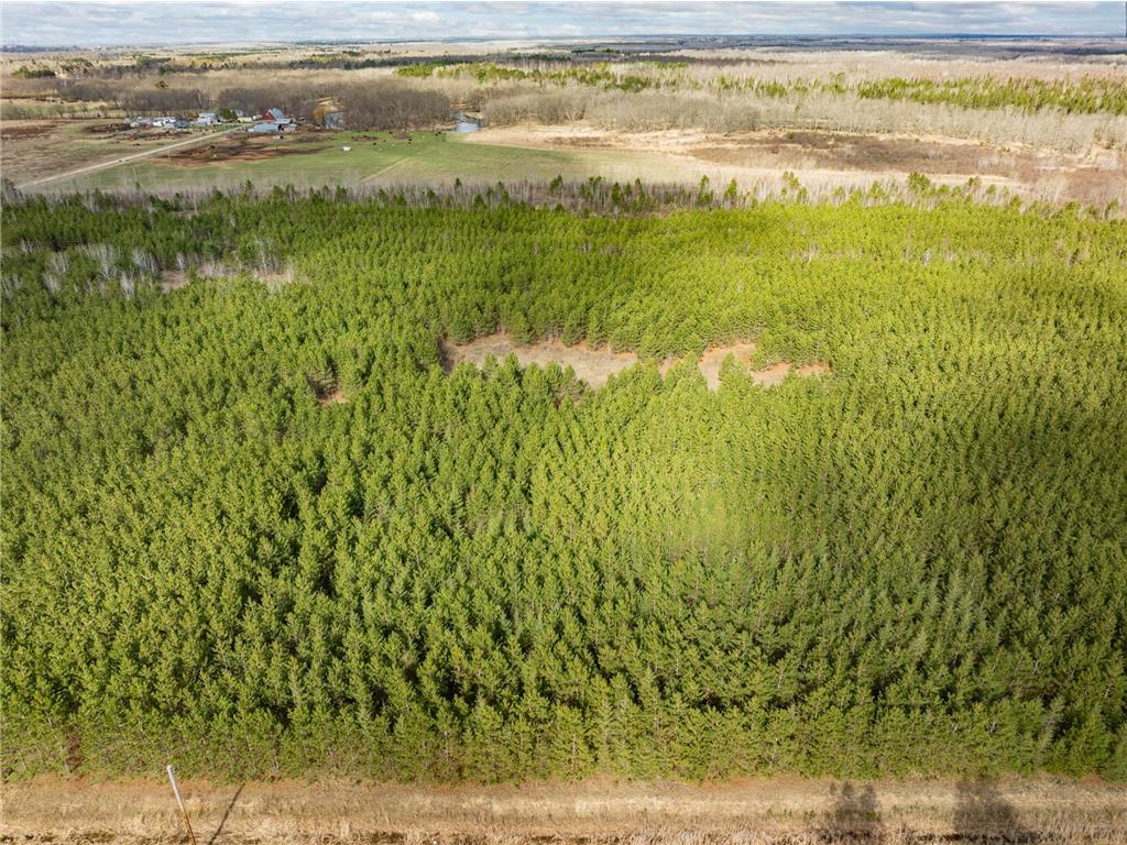 Lot 3 Scenic Highway 7 Lawrence Twp MN 55709 7069399 image8