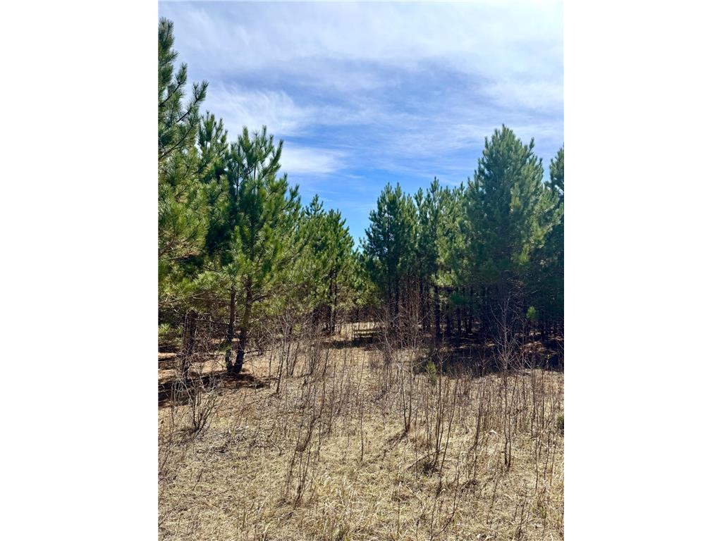 Lot 1 Scenic Hwy 7 Lawrence Twp MN 55709 7067795 image24