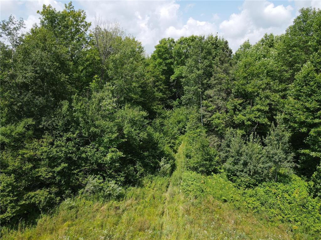 TBD Schalk Road Ogema Twp WI 54459 6770165 image15