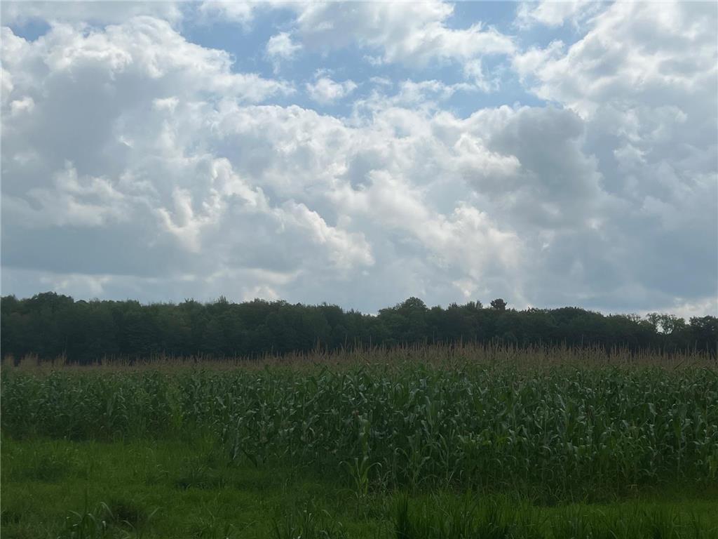 TBD Schalk Road Ogema Twp WI 54459 6770165 image17
