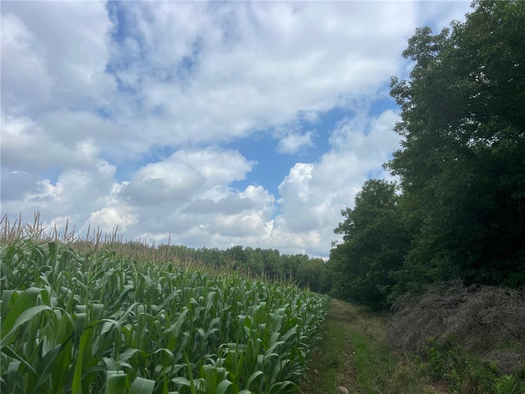 TBD Schalk Road Ogema Twp WI 54459 6770165 image18