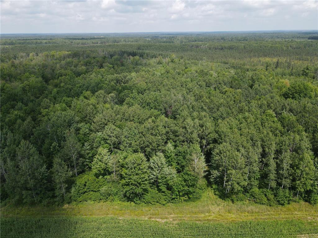 TBD Schalk Road Ogema Twp WI 54459 6770165 image19