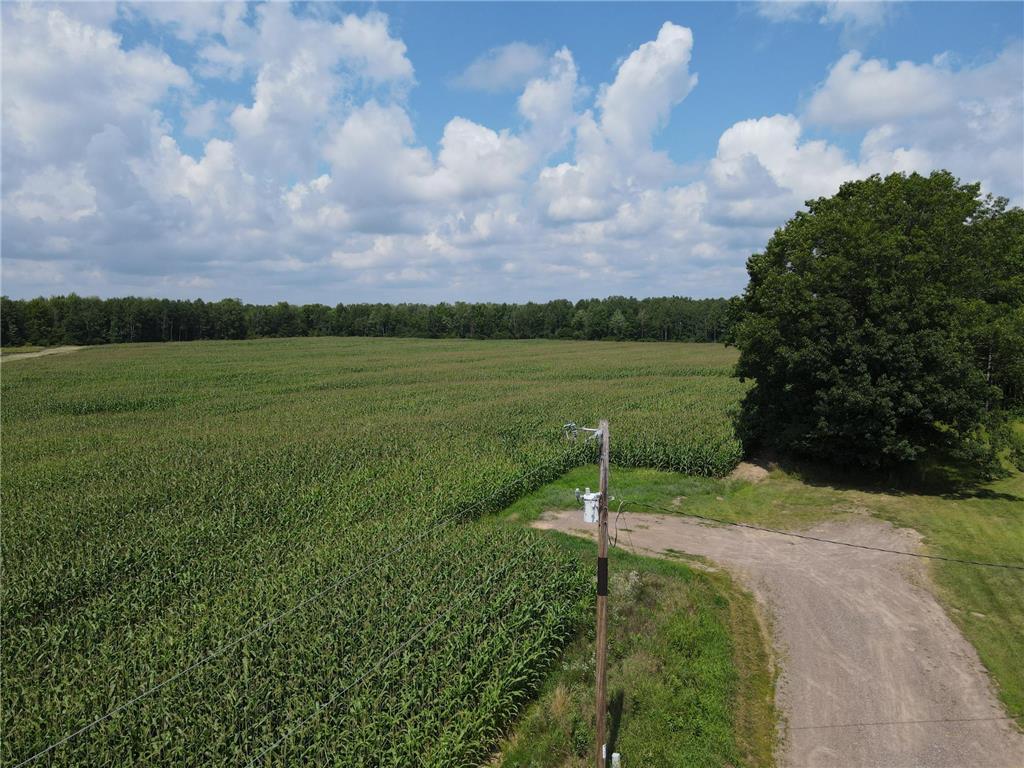 TBD Schalk Road Ogema Twp WI 54459 6770165 image2
