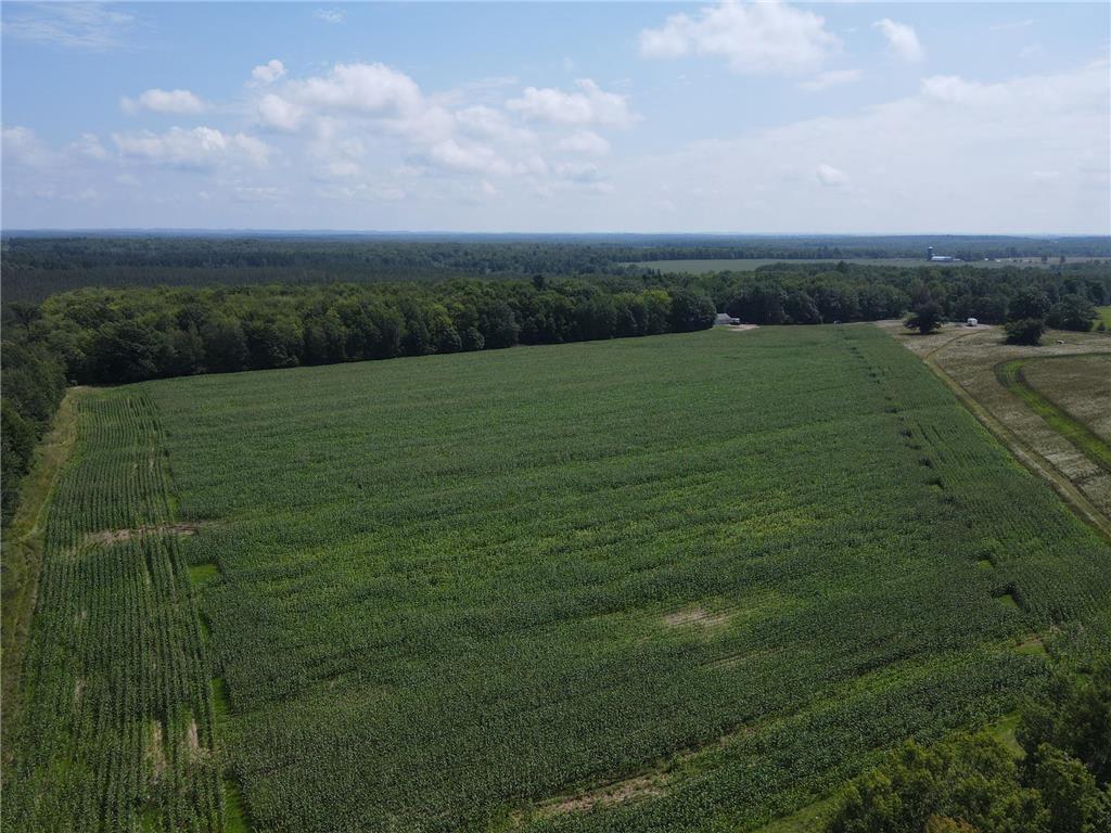 TBD Schalk Road Ogema Twp WI 54459 6770165 image22