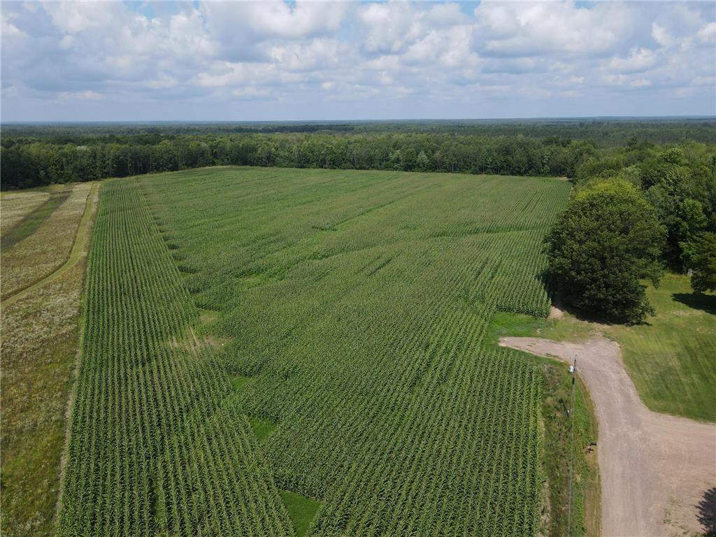 TBD Schalk Road Ogema Twp WI 54459 6770165 image5