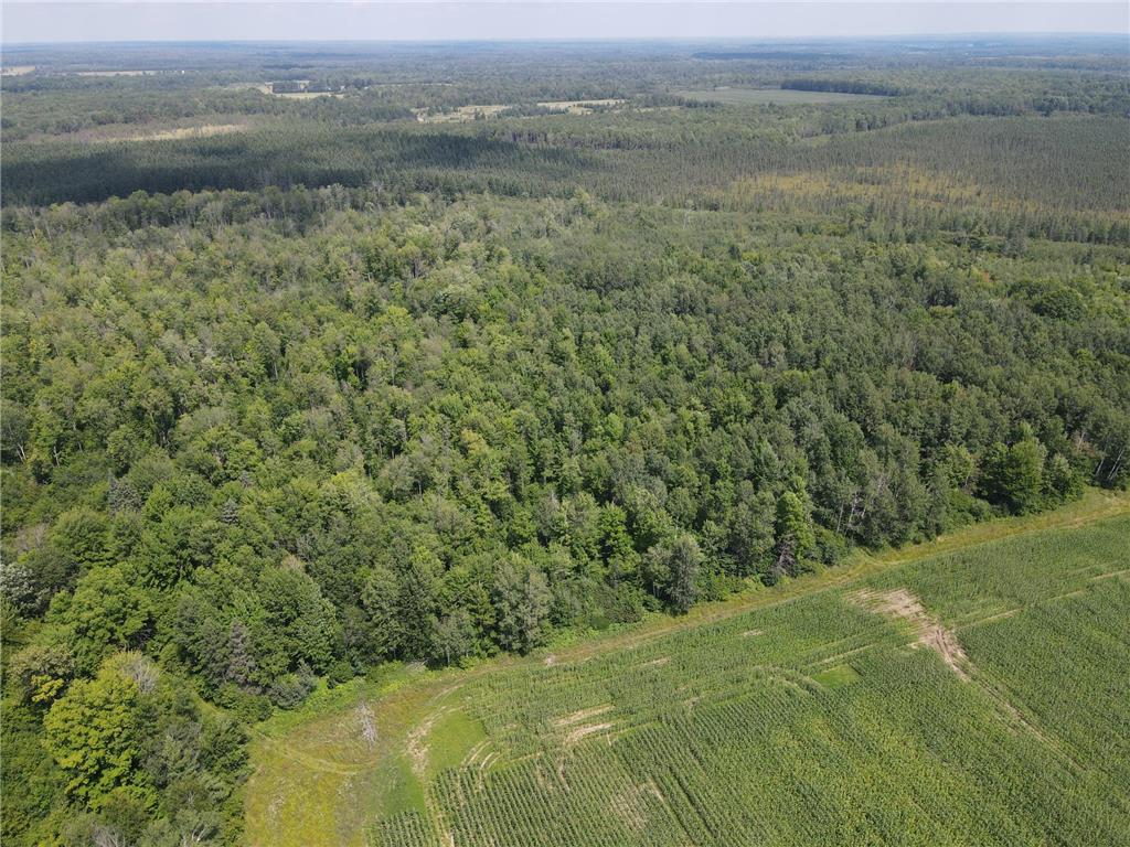 TBD Schalk Road Ogema Twp WI 54459 6770165 image7