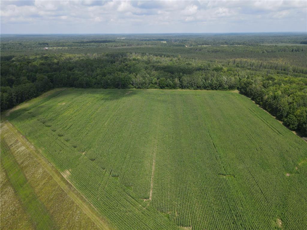 TBD Schalk Road Ogema Twp WI 54459 6770165 image8