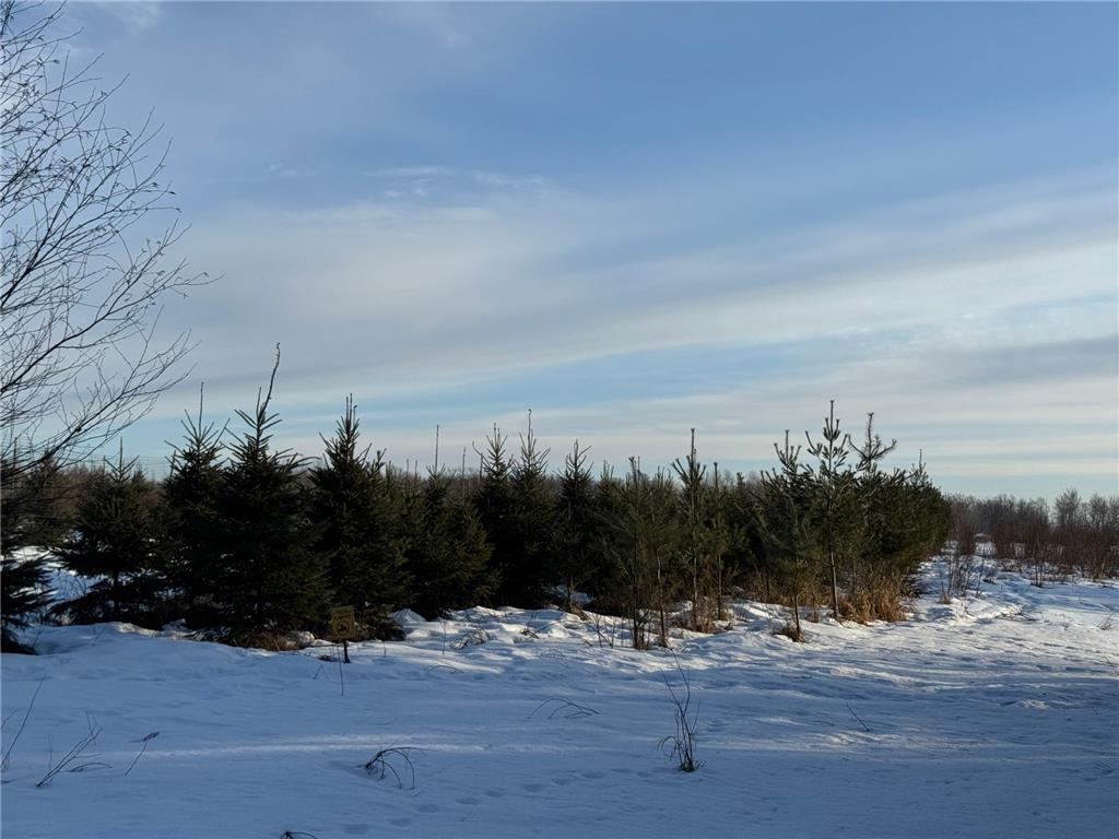 TBD Scotch Pine Road Finlayson MN 55735 7022826 image1