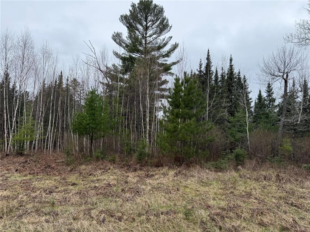TBD Scout Camp Road Fayal Twp MN 55734 7076381 image10