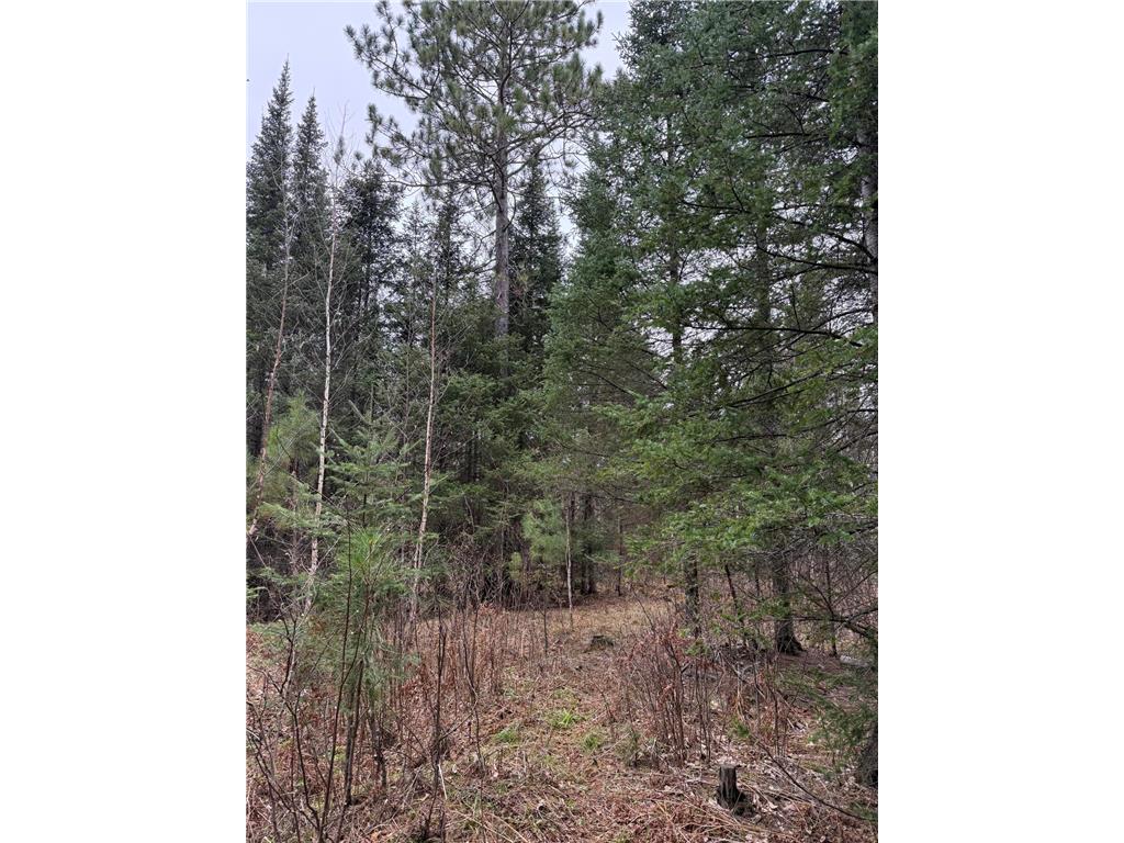 TBD Scout Camp Road Fayal Twp MN 55734 7076381 image11