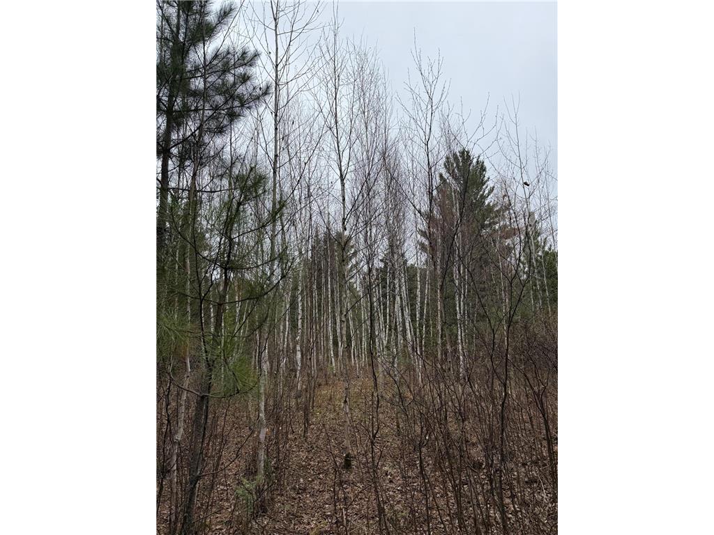 TBD Scout Camp Road Fayal Twp MN 55734 7076381 image12