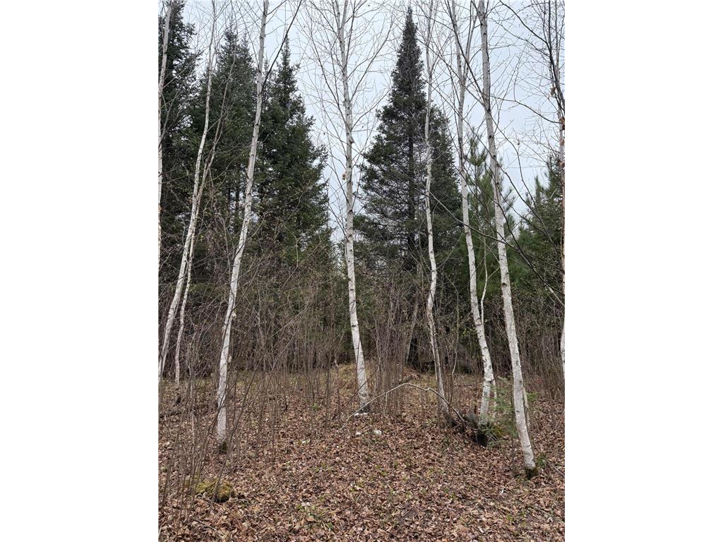 TBD Scout Camp Road Fayal Twp MN 55734 7076381 image13