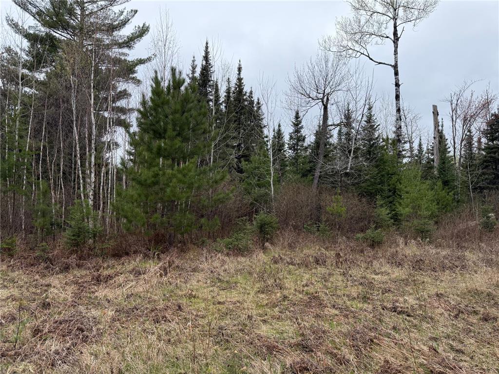 TBD Scout Camp Road Fayal Twp MN 55734 7076381 image15