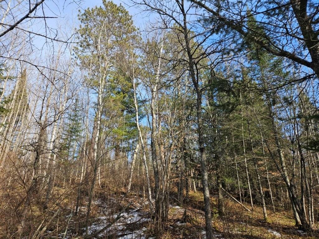 TBD Seaberg Lane Bagley MN 56621 7035905 image12