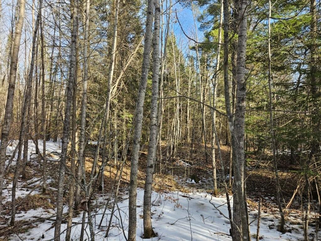 TBD Seaberg Lane Bagley MN 56621 7035905 image13