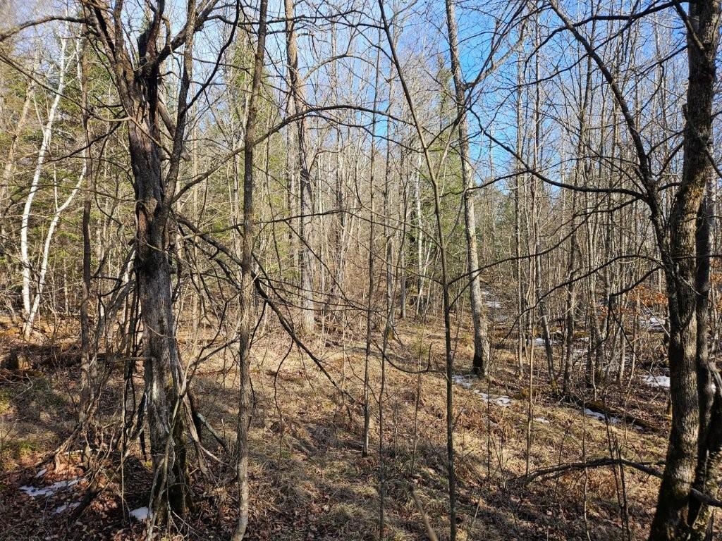 TBD Seaberg Lane Bagley MN 56621 7035905 image14