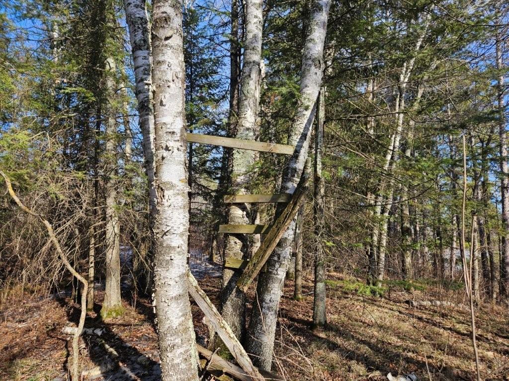 TBD Seaberg Lane Bagley MN 56621 7035905 image15